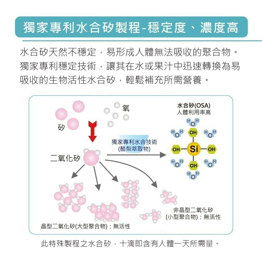 【HUASYN】華莘生醫 SILIDYN 適儷挺 加強型 30mL-細節圖5