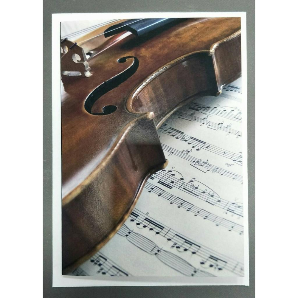 【博斯音樂】♫ 樂器印刷卡片-奧地利產品-細節圖4