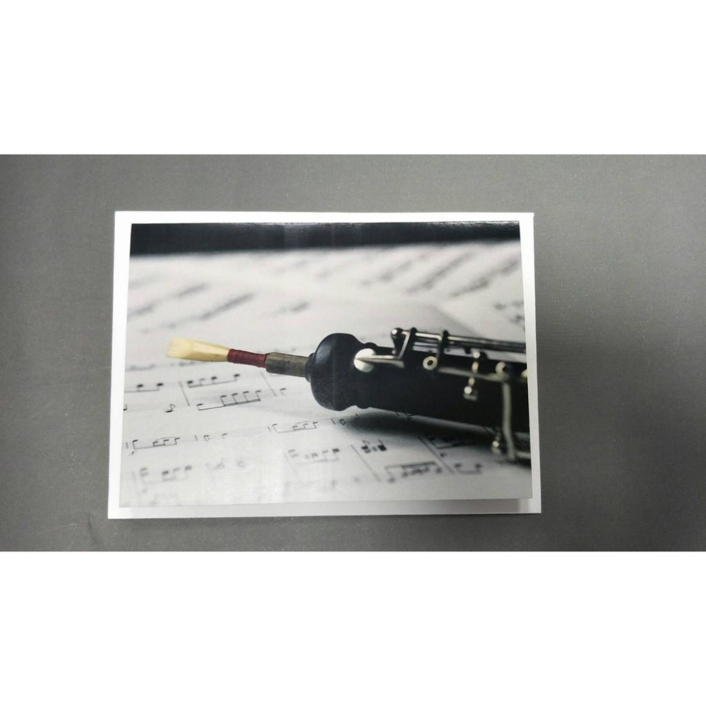 【博斯音樂】♫ 樂器印刷卡片-奧地利產品-細節圖5