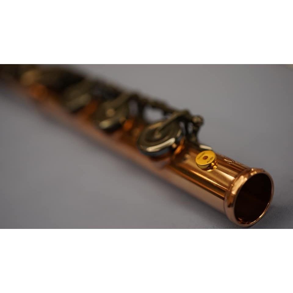 【博斯音樂】ISHAWN VibraCore AU999 金超導錠 薩克斯風 木管 銅管 弦樂 皆可用 臺灣總代理-細節圖5