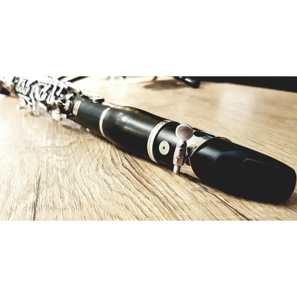 【博斯音樂】ISHAWN VibraCore 聲響超導錠 新一代~~ 薩克斯風 木管 銅管 弦樂 皆可用 臺灣總代理-細節圖3