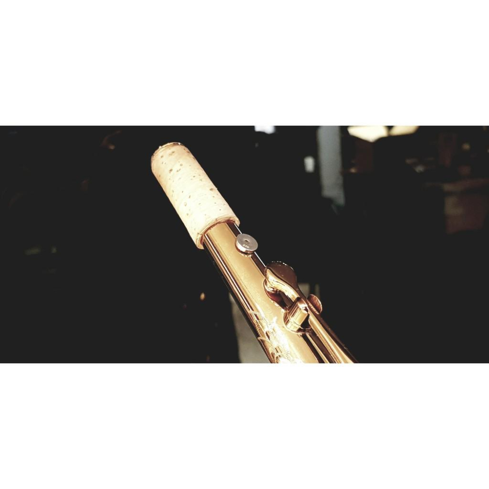 【博斯音樂】ISHAWN VibraCore 聲響超導錠 新一代~~ 薩克斯風 木管 銅管 弦樂 皆可用 臺灣總代理-細節圖4