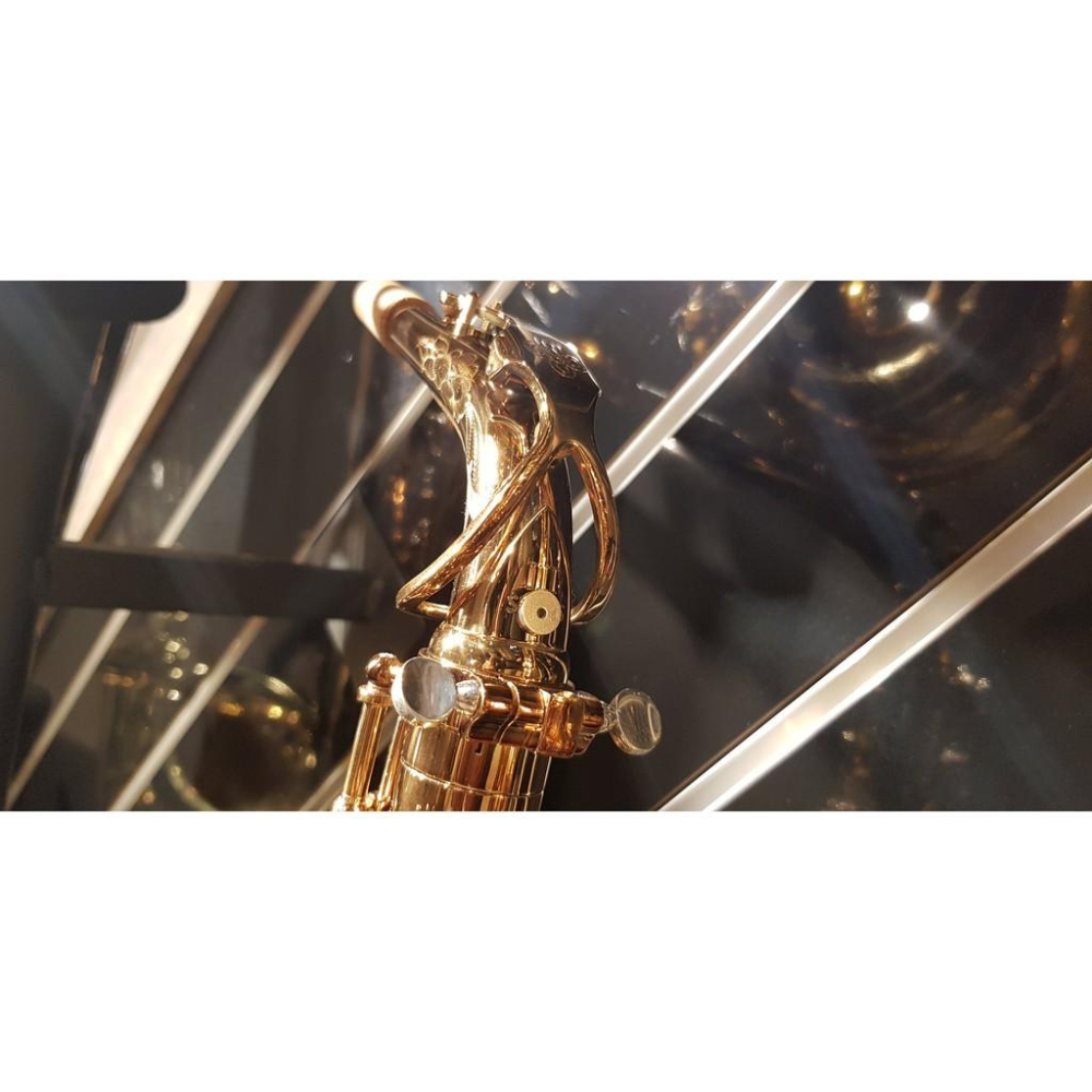 【博斯音樂】ISHAWN VibraCore 聲響超導錠 新一代~~ 薩克斯風 木管 銅管 弦樂 皆可用 臺灣總代理-細節圖5