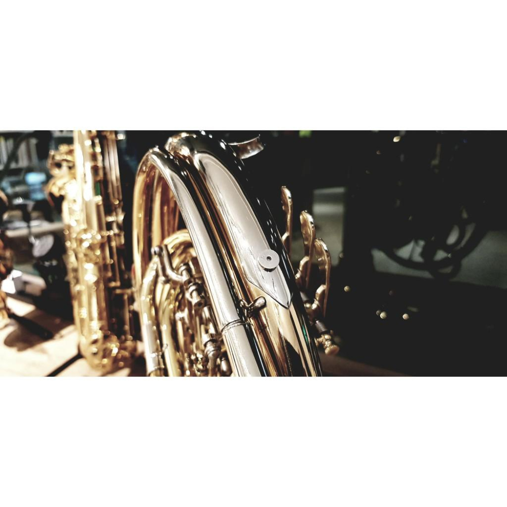 【博斯音樂】ISHAWN VibraCore 聲響超導錠 新一代~~ 薩克斯風 木管 銅管 弦樂 皆可用 臺灣總代理-細節圖6