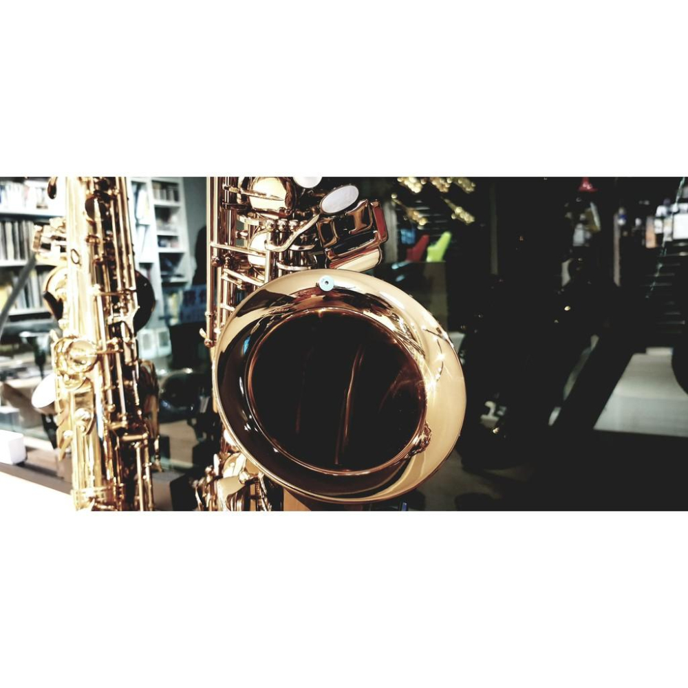 【博斯音樂】ISHAWN VibraCore 聲響超導錠 新一代~~ 薩克斯風 木管 銅管 弦樂 皆可用 臺灣總代理-細節圖7