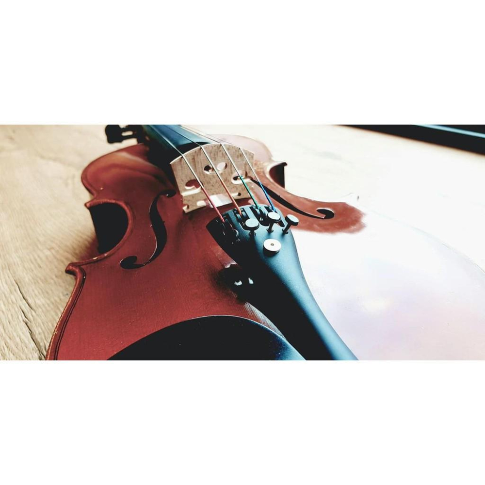 【博斯音樂】ISHAWN VibraCore 聲響超導錠 新一代~~ 薩克斯風 木管 銅管 弦樂 皆可用 臺灣總代理-細節圖8