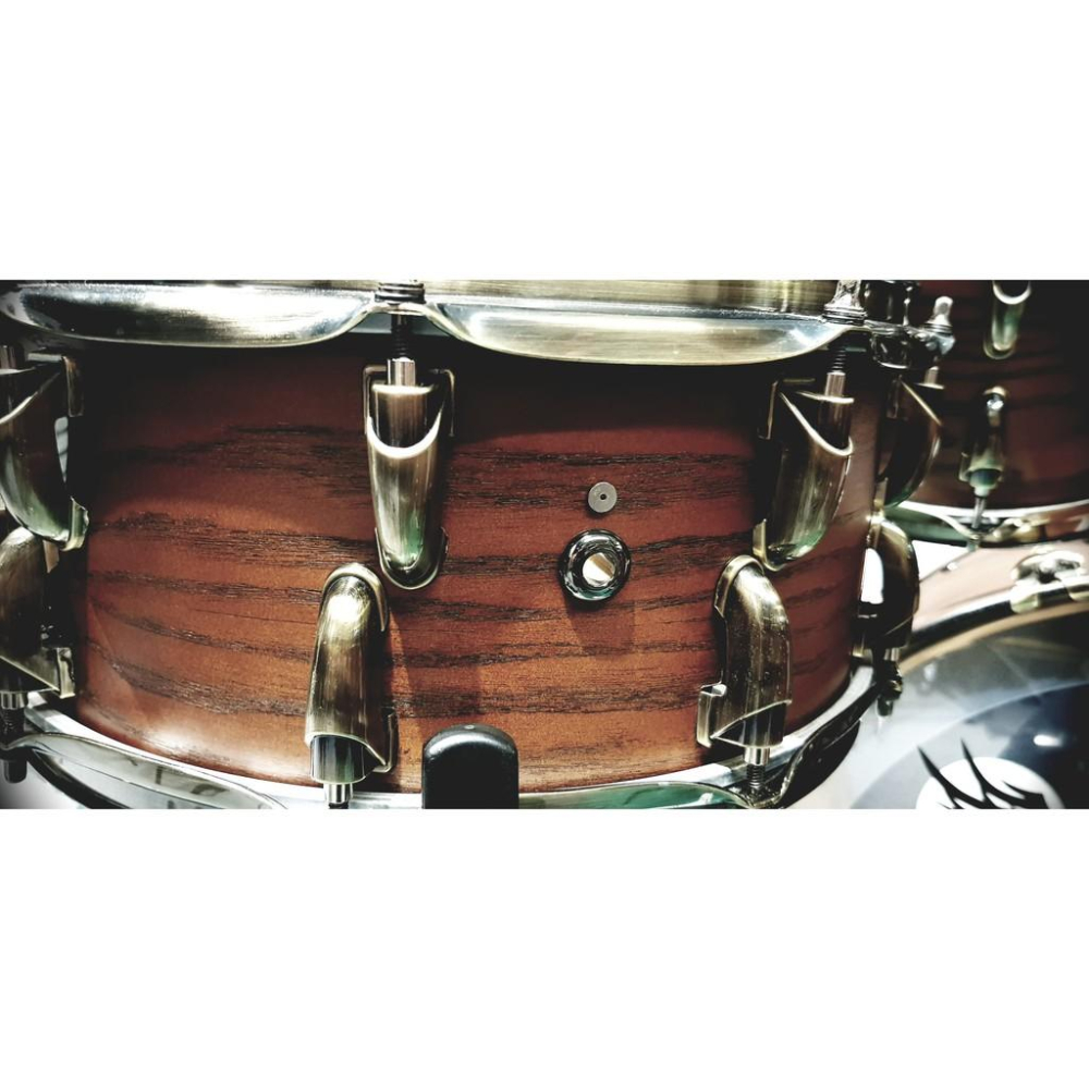 【博斯音樂】ISHAWN VibraCore 聲響超導錠 新一代~~ 薩克斯風 木管 銅管 弦樂 皆可用 臺灣總代理-細節圖9