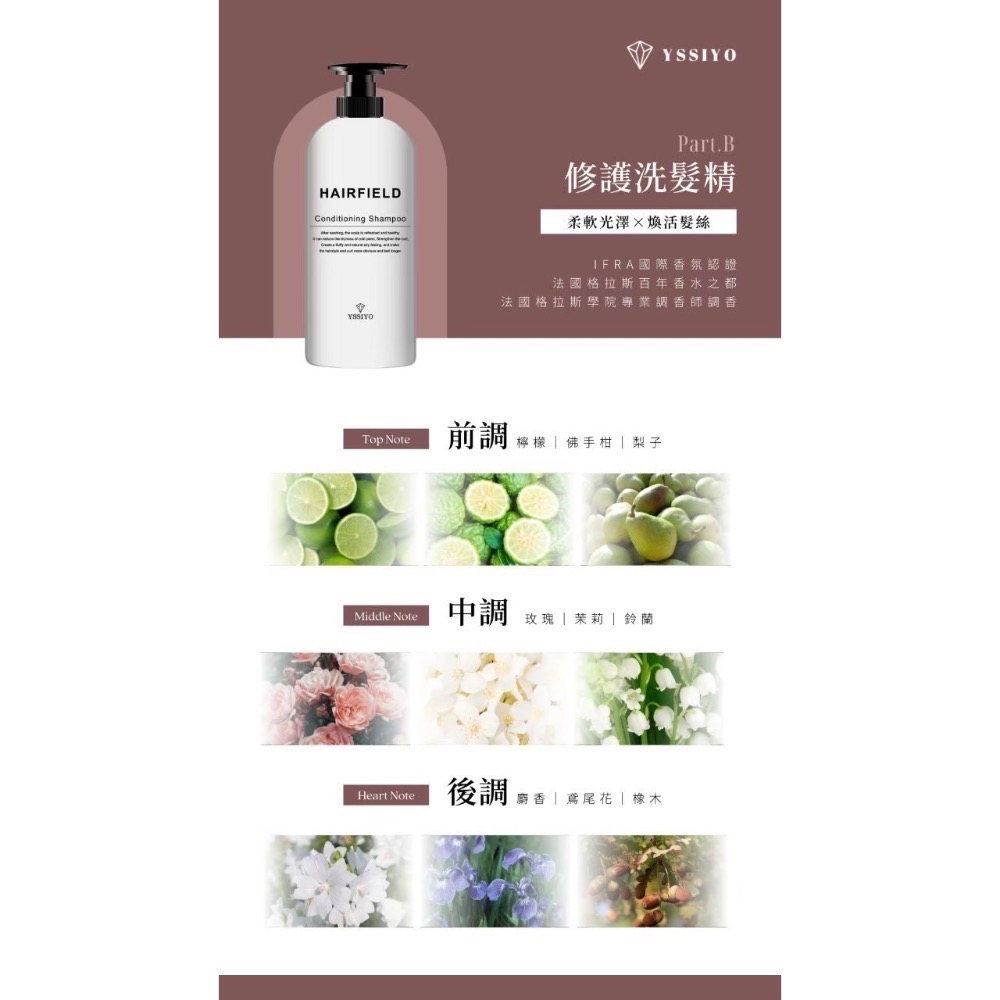魔髮ABC｜修護洗髮精B｜添加氨基酸｜無矽靈-細節圖3