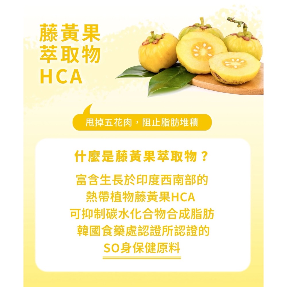 當日出貨🔥 Pristy韓國益生菌 腸道保健｜益生菌 ｜維持消化道機能 女神李多慧激推 30入-細節圖5