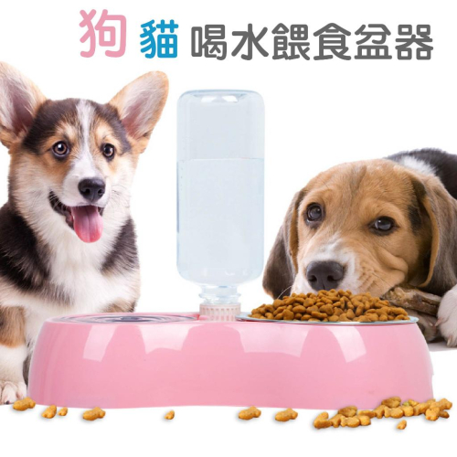 睿豐科技-寵物兩用餵食碗/喝水/飼料盆器