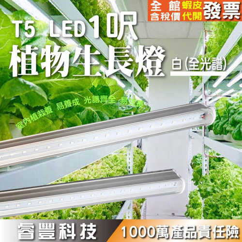 《睿豐科技》LED-1呎植物燈/植物育苗/植物開花/植物生長燈/水族燈管/LED T5-全光譜/水草缸~歡迎企業公司私訊