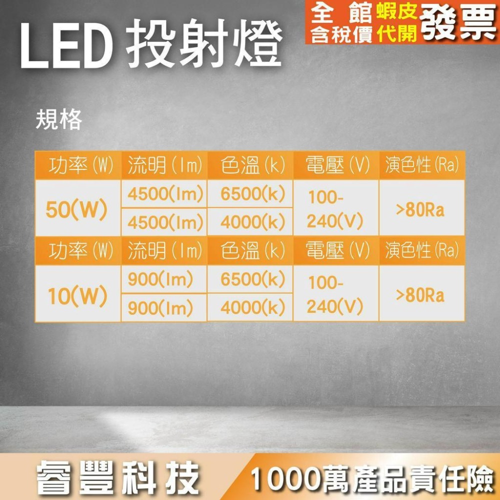 睿豐科技-10W/50W投射燈/泛光燈/白光/自然光-細節圖2
