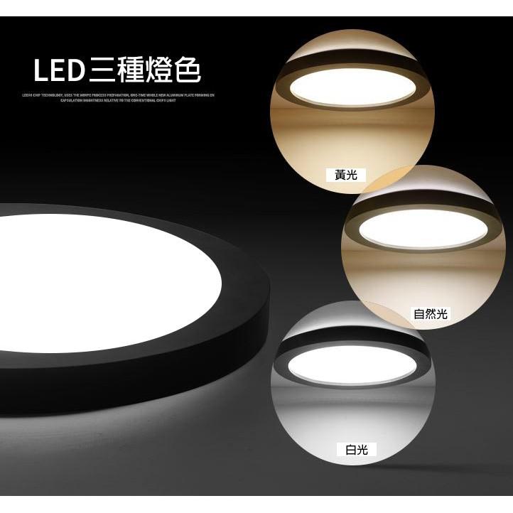 LED 17cm 12w防潮吸頂燈 黃/白光 全電壓 展示燈 展覽燈 浴室燈 廁所燈 壁燈 氣氛燈-細節圖3