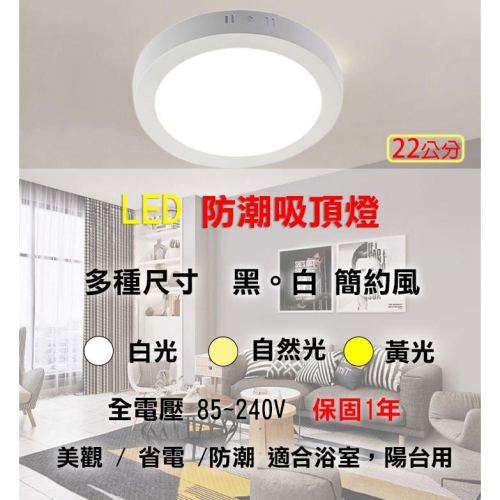 LED 22cm 18w 防潮吸頂燈 黃光/白光/自然光 全電壓 現貨特價 展示燈 展覽燈 浴室燈 廁所燈 壁燈 氣氛燈