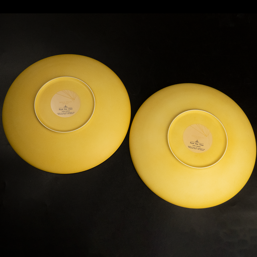 Royal Fine China ULTRA STRONG 黃色線條 陶瓷 餐盤 兩件一組-細節圖2