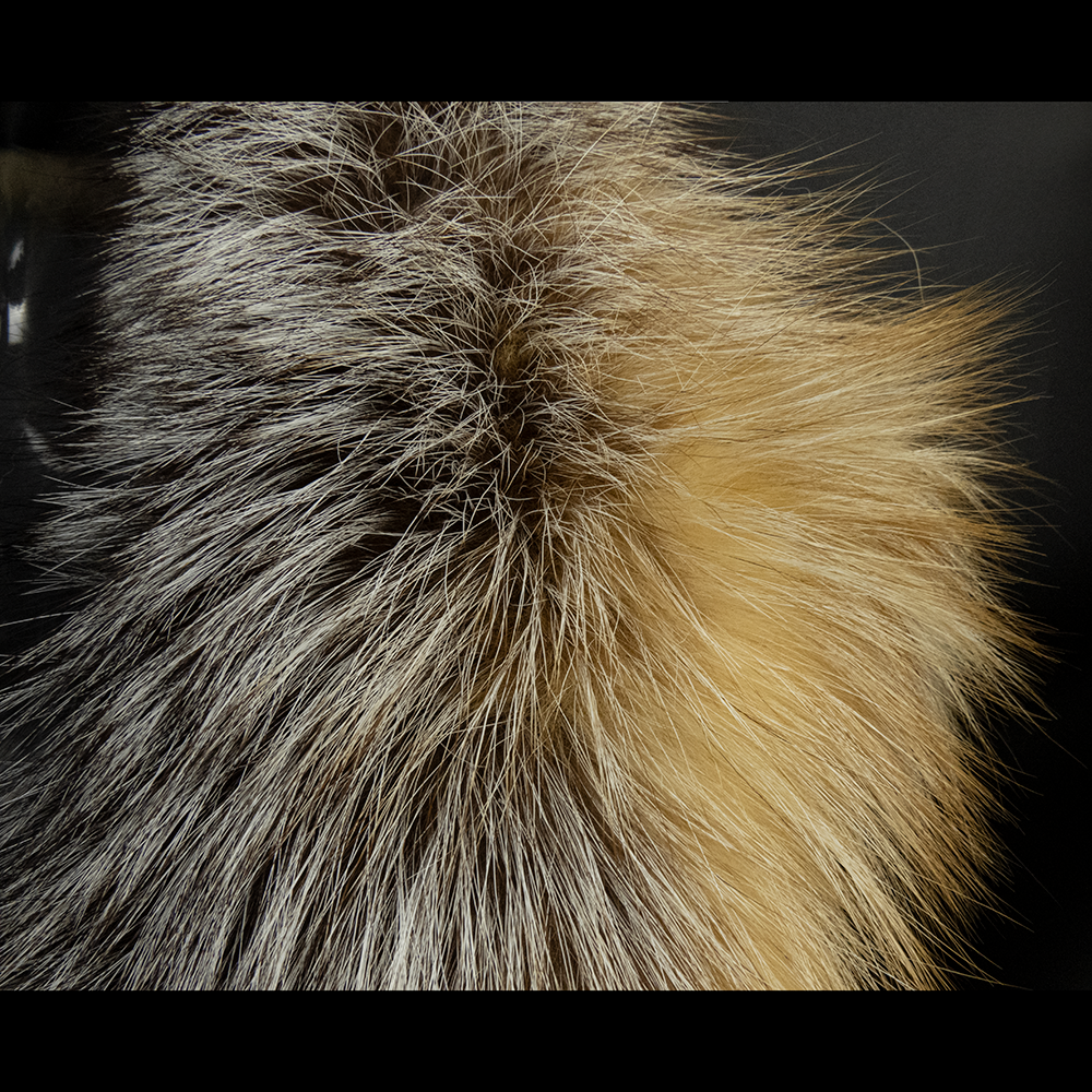狐狸奢華漸變皮草圍巾 原皮原色 特殊造型-細節圖4