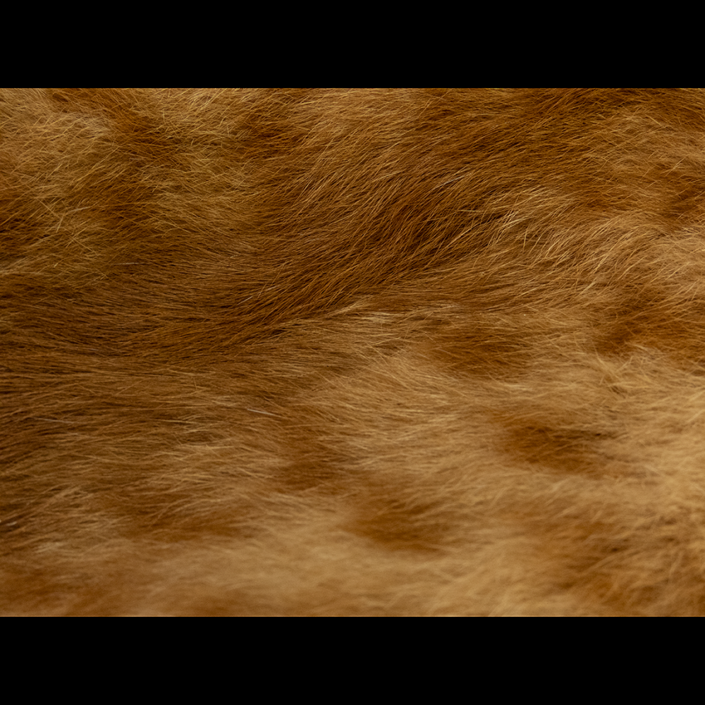 虎斑皮草無袖背心  外套 兒童-細節圖4