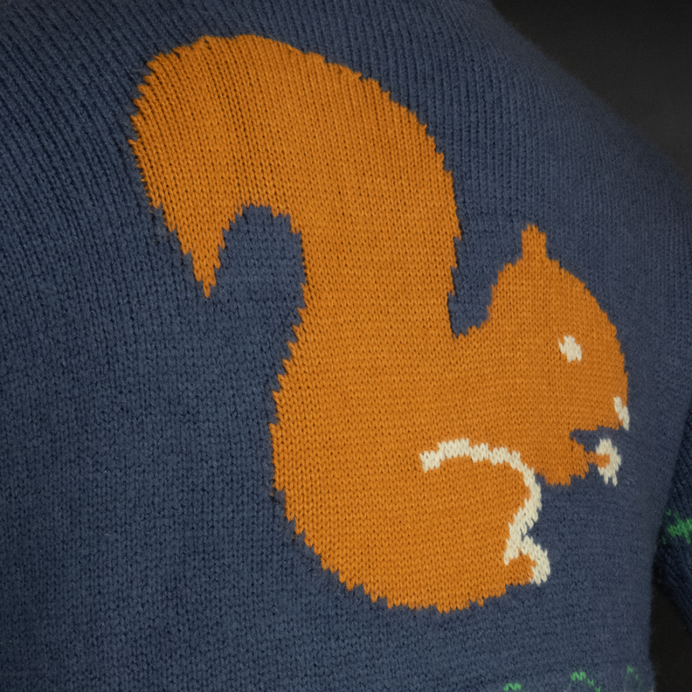 西班牙奢侈品牌LOEWE羅意威羊毛松鼠圖案logo圓領長袖毛衣-細節圖6