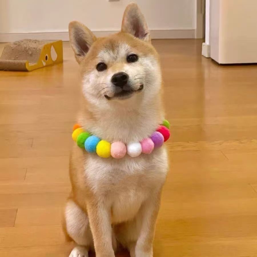 《預購》貓咪項圈彩色毛球可愛狗狗脖圈 柴犬柯基圍脖項鍊網紅寵物拍照飾品-細節圖3