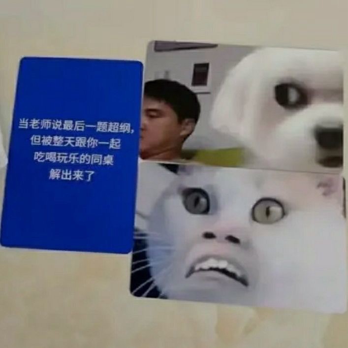 《預購》中文表情包撲克大戰大作戰搞笑惡搞 表情包撲克牌卡牌遊戲卡片桌游-細節圖4