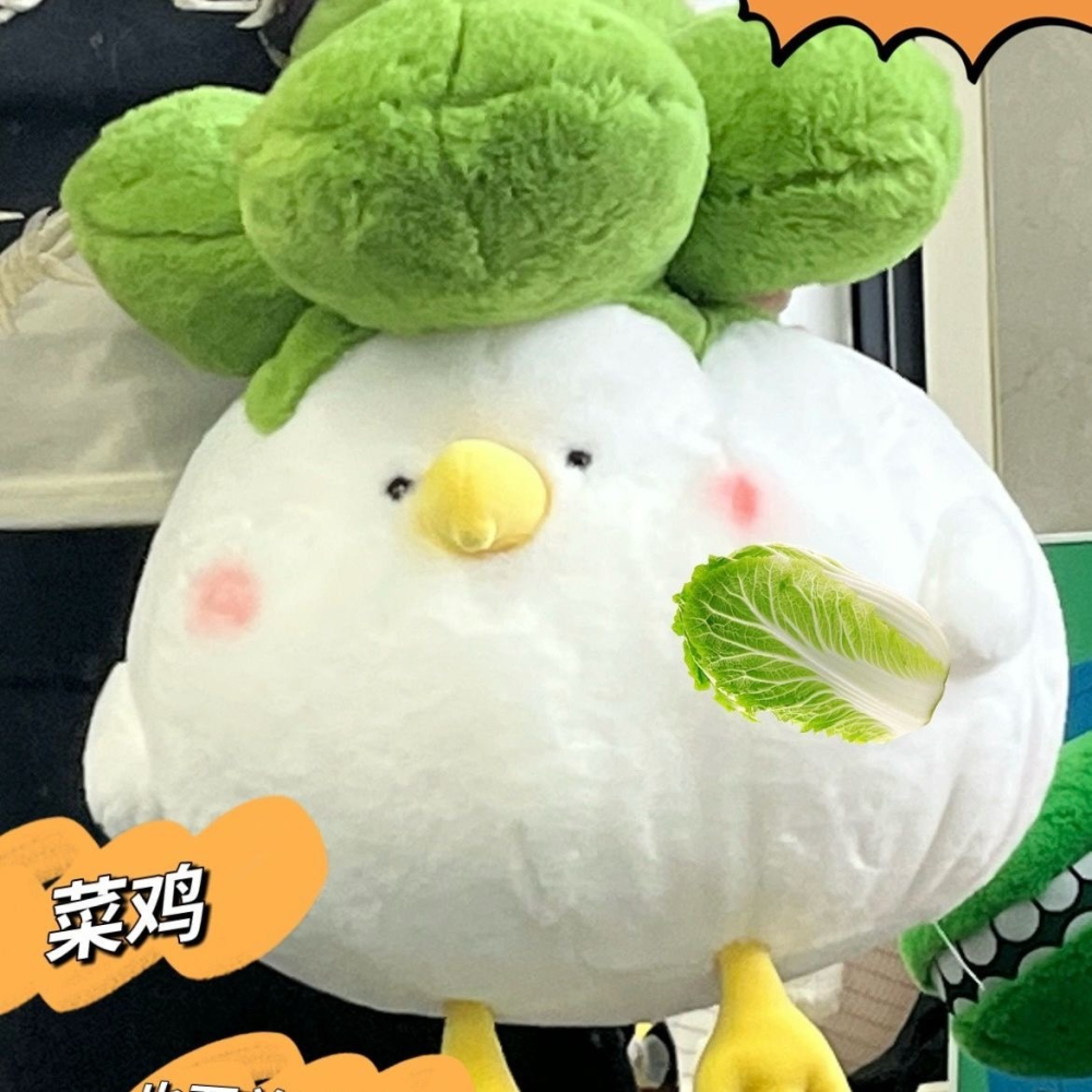創意可愛小鳥玩偶菜鳥公仔白菜小雞 毛絨玩具居家男女娃娃生日禮物-細節圖3