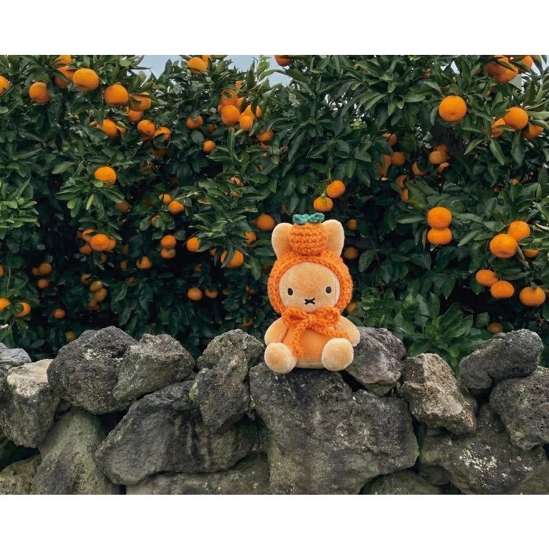 預購｜韓國濟州島限定 ｜ 烤麵包橘子米菲兔 Miffy 毛絨吊飾 療癒系烤焦色 橘子帽造型 韓國旅行必備收藏 限量-細節圖5