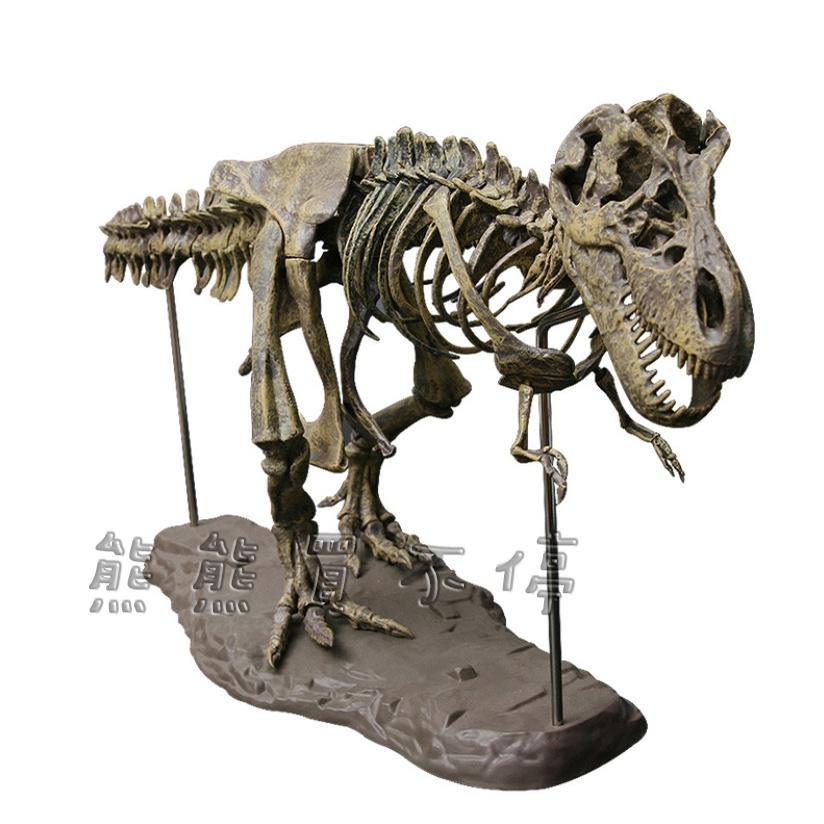[在台現貨/很大隻] 4D 拼裝 組裝 可上色 暴龍 恐龍 化石 骨頭 仿真動物模型 送502膠水+顏料(含水彩筆)-細節圖2