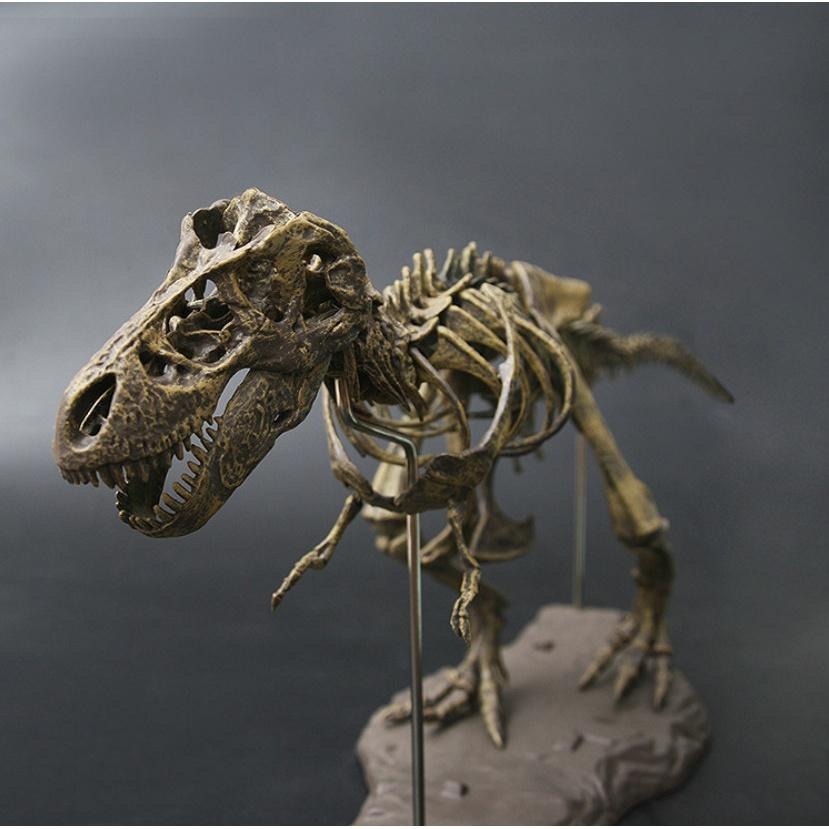 [在台現貨/很大隻] 4D 拼裝 組裝 可上色 暴龍 恐龍 化石 骨頭 仿真動物模型 送502膠水+顏料(含水彩筆)-細節圖3