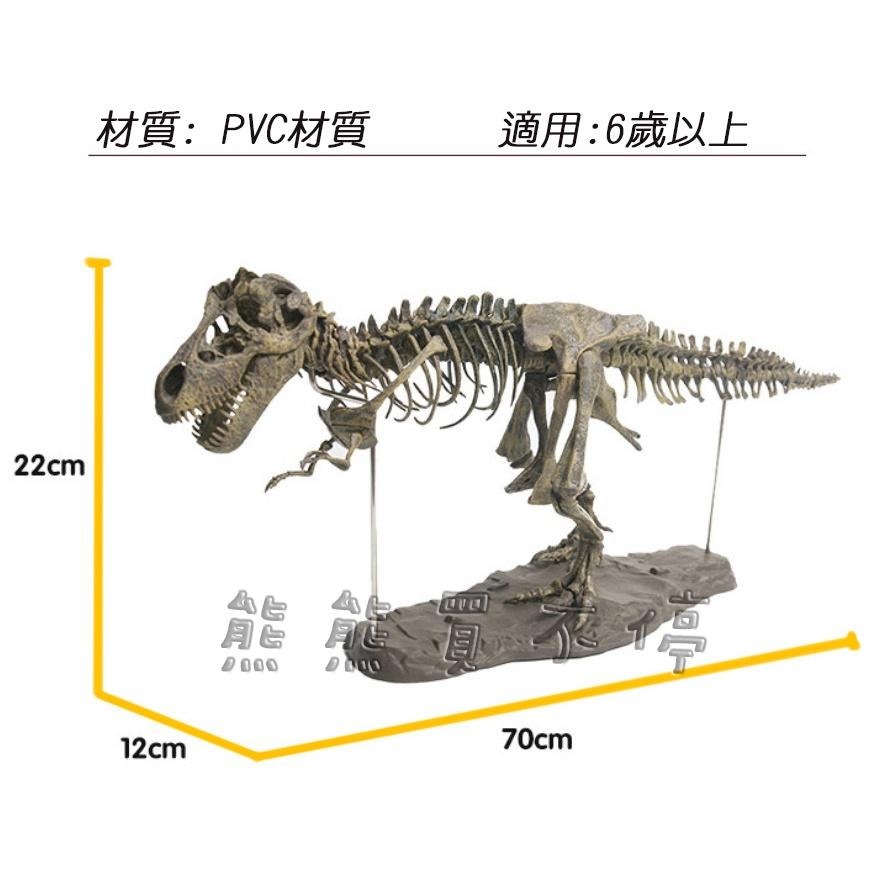 [在台現貨/很大隻] 4D 拼裝 組裝 可上色 暴龍 恐龍 化石 骨頭 仿真動物模型 送502膠水+顏料(含水彩筆)-細節圖6