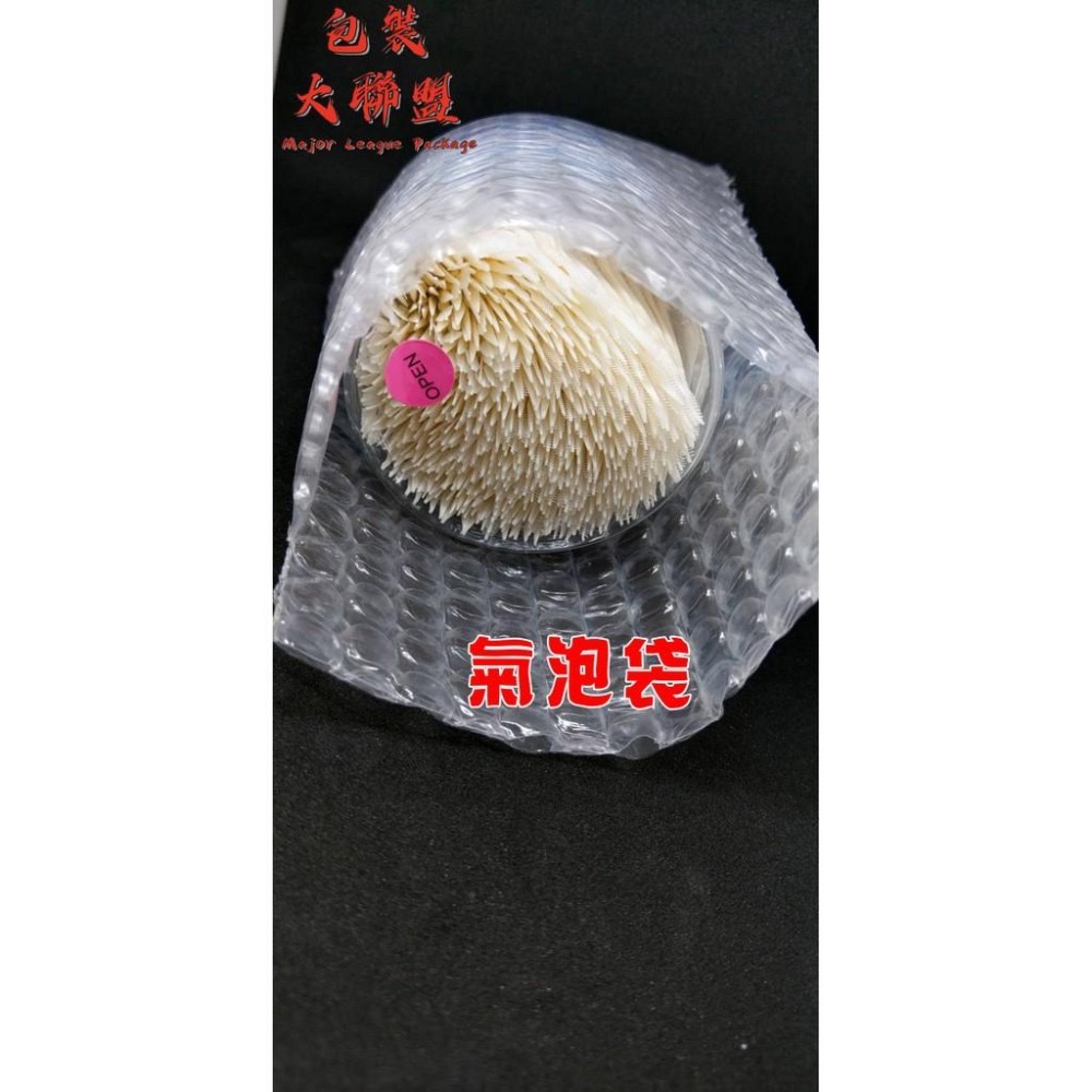 【店到店 -小氣泡】 氣泡布 氣泡袋 氣泡紙 氣泡膜 泡泡布 網拍氣泡布 緩衝材 包裝材料 抗靜電氣泡布 無臭氣泡布-細節圖6