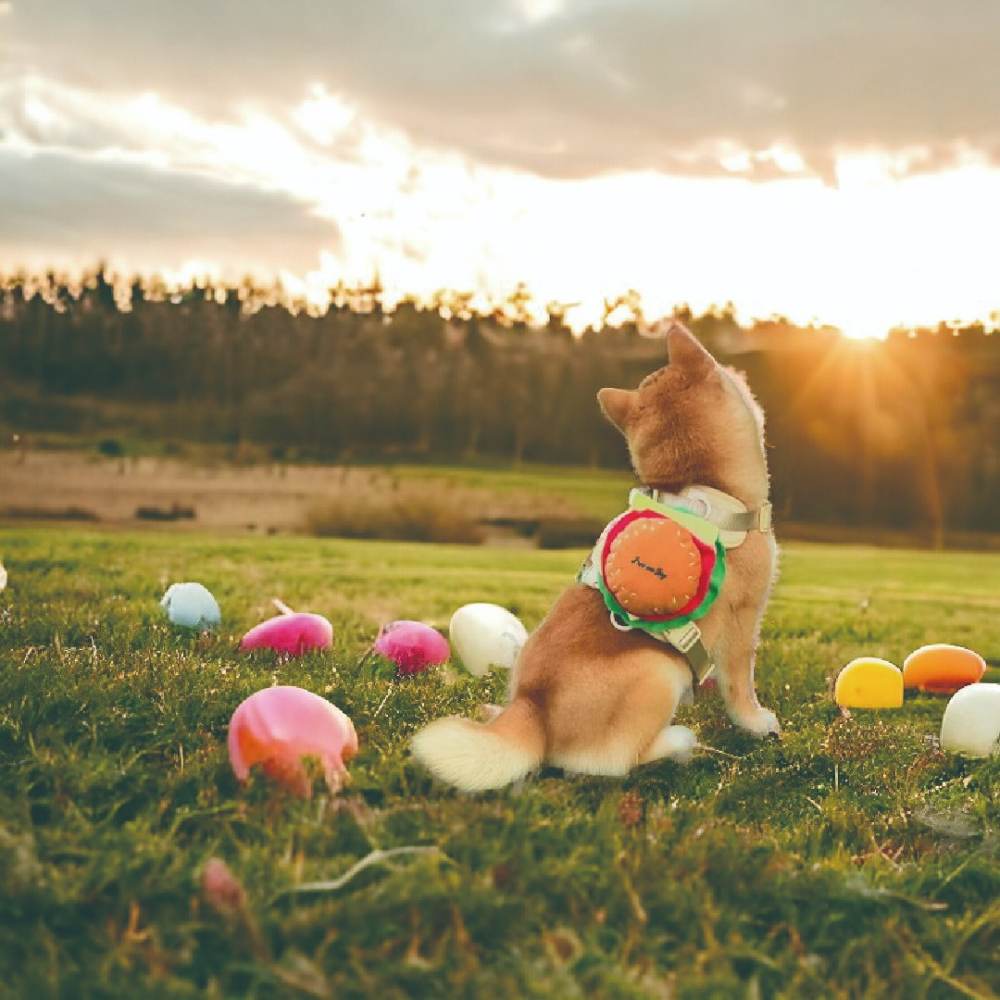 [TE SHOP]寵物漢堡胸背帶 貓咪背帶狗牽引繩 中小型犬貓咪背帶狗牽引繩 狗狗揹包式牽引繩 寵物零食包 遛狗繩-細節圖2