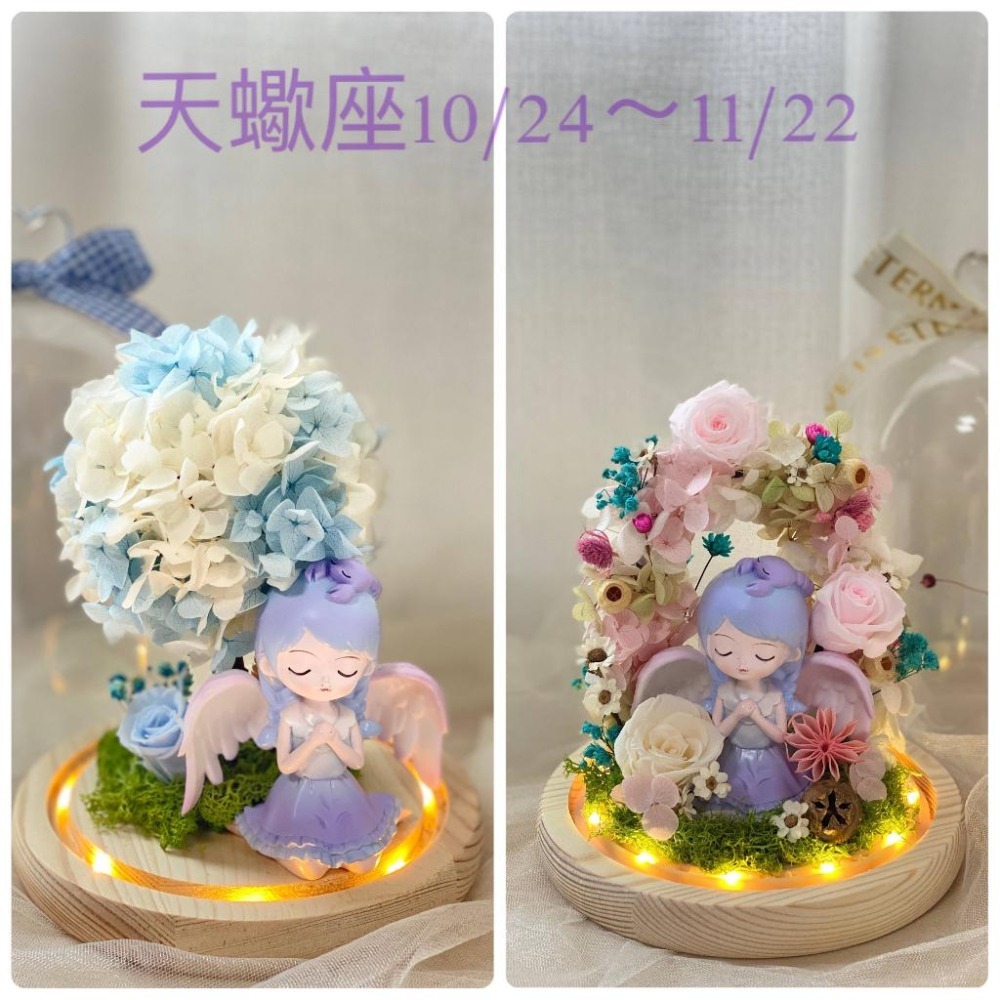 (台灣現貨 ) 大號 12星座 永生花  玩偶 乾燥花 夜燈 玻璃罩 真花 情人節 母親節 女友 生日 畢業 交換 禮物-細節圖6