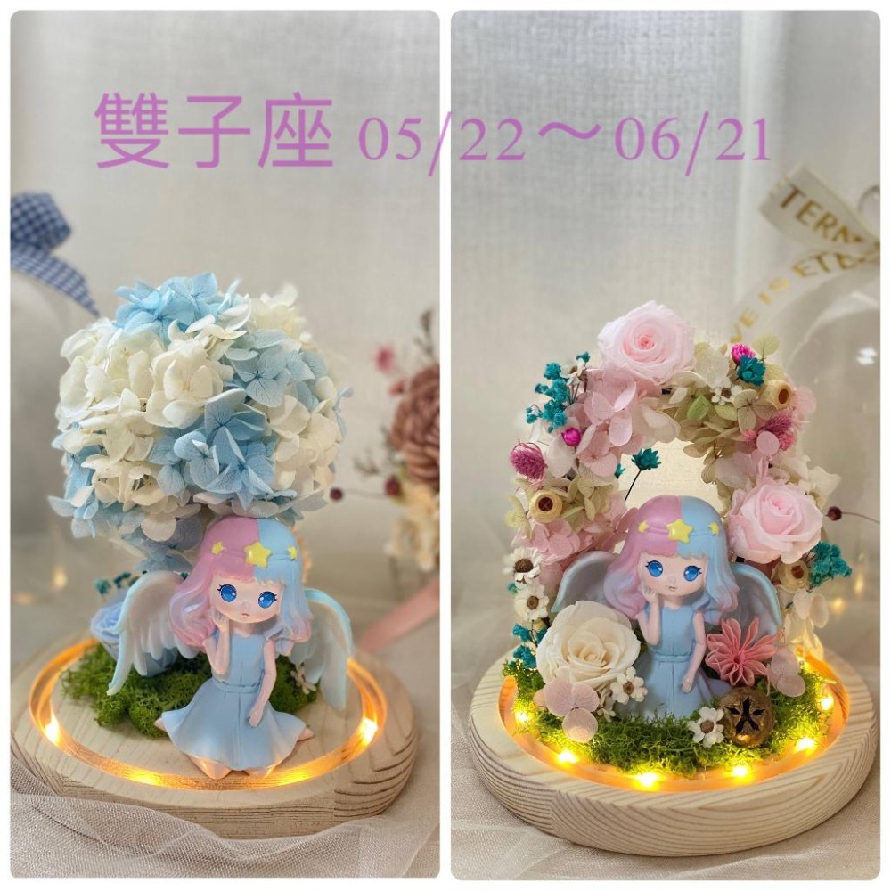 (台灣現貨 ) 大號 12星座 永生花  玩偶 乾燥花 夜燈 玻璃罩 真花 情人節 母親節 女友 生日 畢業 交換 禮物-細節圖8