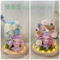 (台灣現貨 ) 大號 12星座 永生花  玩偶 乾燥花 夜燈 玻璃罩 真花 情人節 母親節 女友 生日 畢業 交換 禮物-規格圖9