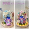 (台灣現貨 ) 大號 12星座 永生花  玩偶 乾燥花 夜燈 玻璃罩 真花 情人節 母親節 女友 生日 畢業 交換 禮物-規格圖9