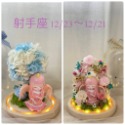 (台灣現貨 ) 大號 12星座 永生花  玩偶 乾燥花 夜燈 玻璃罩 真花 情人節 母親節 女友 生日 畢業 交換 禮物-規格圖9