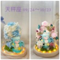 (台灣現貨 ) 大號 12星座 永生花  玩偶 乾燥花 夜燈 玻璃罩 真花 情人節 母親節 女友 生日 畢業 交換 禮物-規格圖9