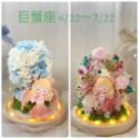 (台灣現貨 ) 大號 12星座 永生花  玩偶 乾燥花 夜燈 玻璃罩 真花 情人節 母親節 女友 生日 畢業 交換 禮物-規格圖9