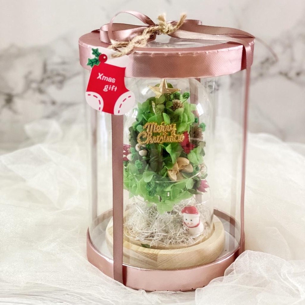 ( 台灣現貨 可加購字母)永生花 聖誕樹 聖誕節 夜燈 玻璃罩 真花 情人節 母親節 女友 生日 畢業 交換 禮物-細節圖5