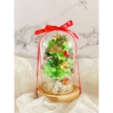 璀璨聖誕-綠色(含禮盒)
