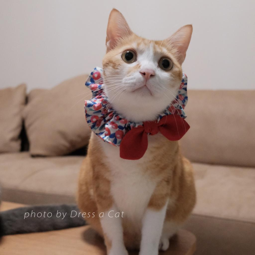 | Dress a Cat |_茵嫣花 貓項圈 領巾項圈 荷葉領巾 貓 寵物 項圈 布項圈 手作項圈-細節圖3