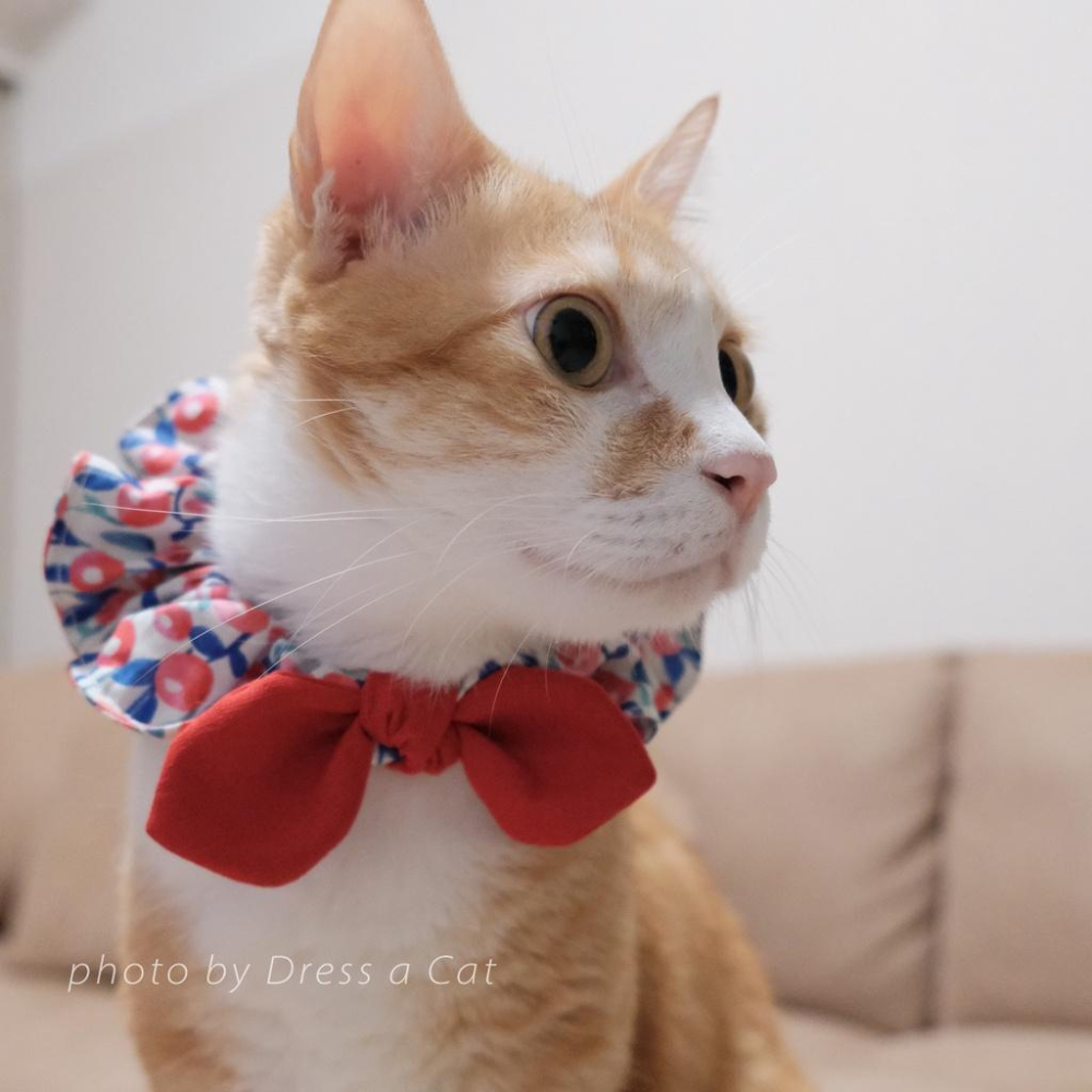 | Dress a Cat |_茵嫣花 貓項圈 領巾項圈 荷葉領巾 貓 寵物 項圈 布項圈 手作項圈-細節圖4