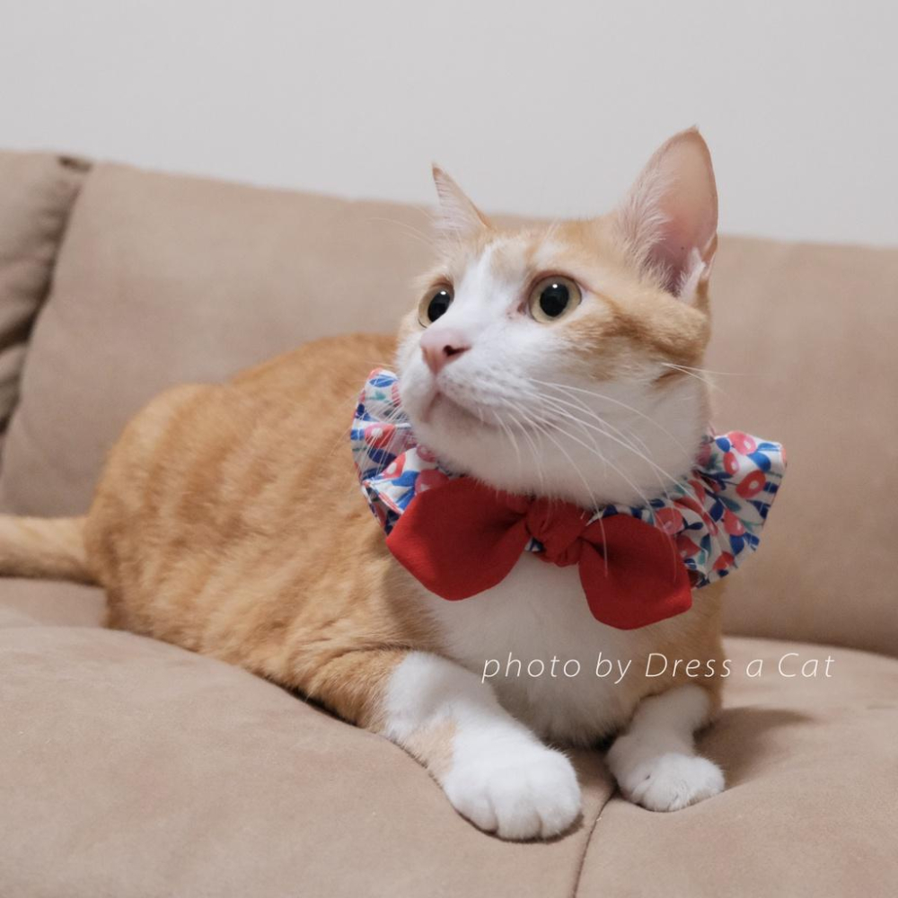 | Dress a Cat |_茵嫣花 貓項圈 領巾項圈 荷葉領巾 貓 寵物 項圈 布項圈 手作項圈-細節圖5