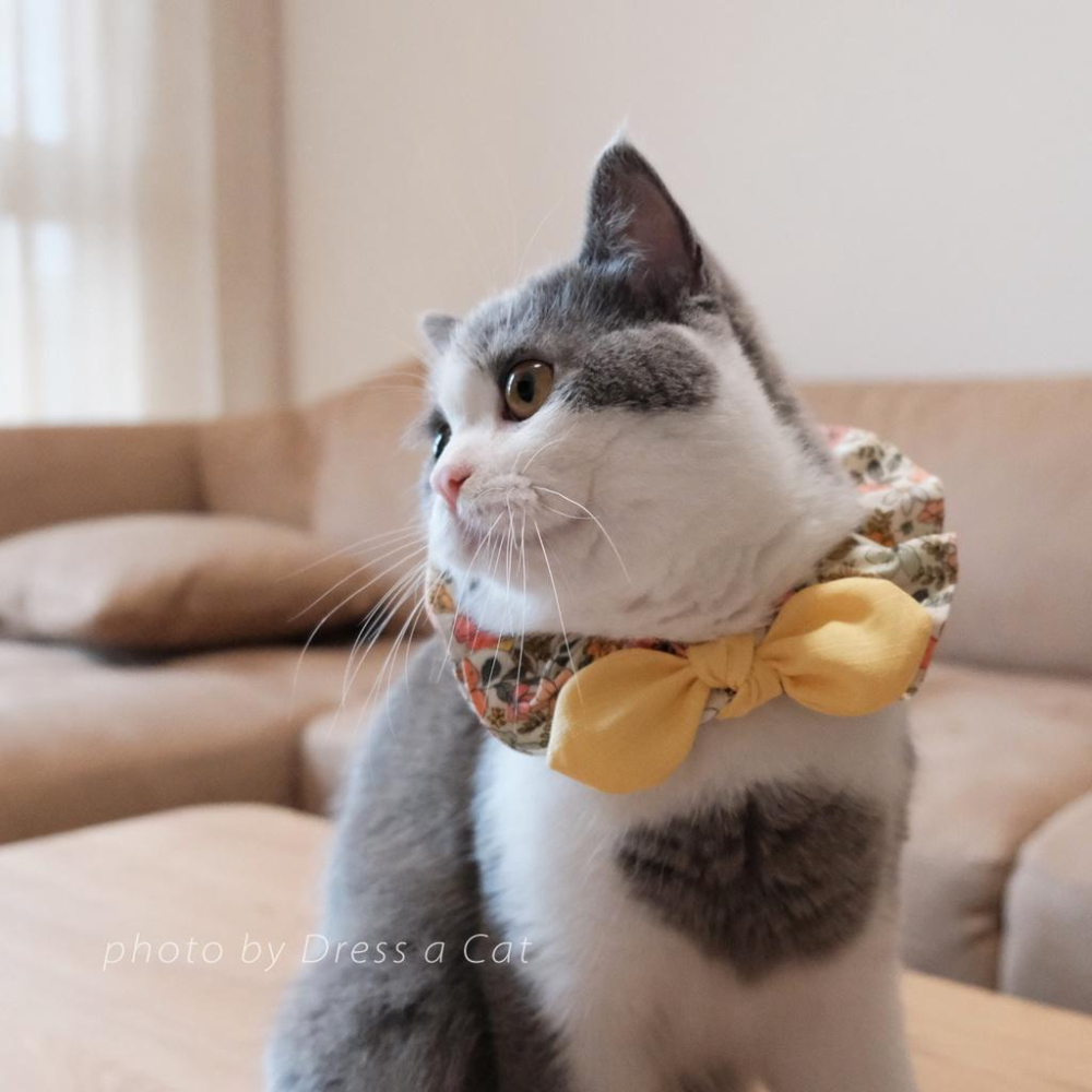 | Dress a Cat |_黃卉綻放 貓項圈 領巾項圈 荷葉領巾 貓 寵物 項圈 布項圈 手作項圈-細節圖5