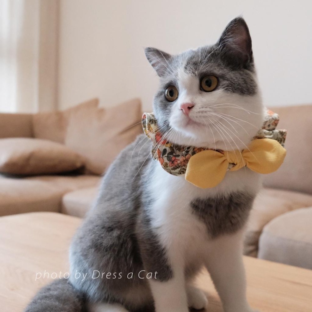 Cat Dress 貓手作 _黃卉綻放 貓項圈 領巾項圈 荷葉領巾 貓 寵物 項圈 布項圈 手作項圈-細節圖2
