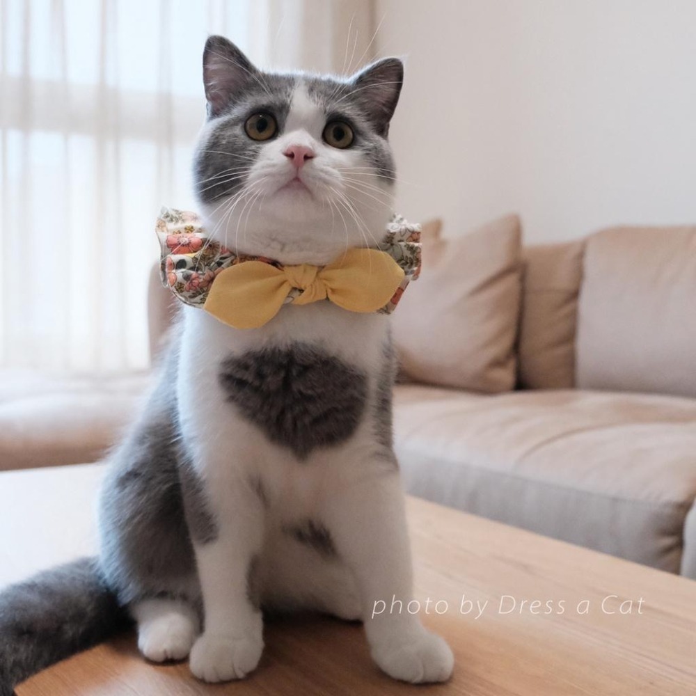 Cat Dress 貓手作 _黃卉綻放 貓項圈 領巾項圈 荷葉領巾 貓 寵物 項圈 布項圈 手作項圈-細節圖3