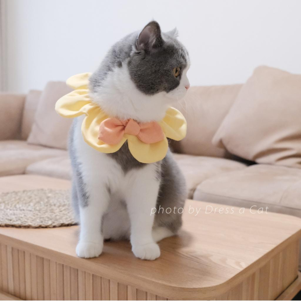 | Dress a Cat | 小仙黃花朵 圍兜 花朵蝶結項圈 花型領巾 花瓣 寵物項圈 貓項圈 貓 手作項圈-細節圖6