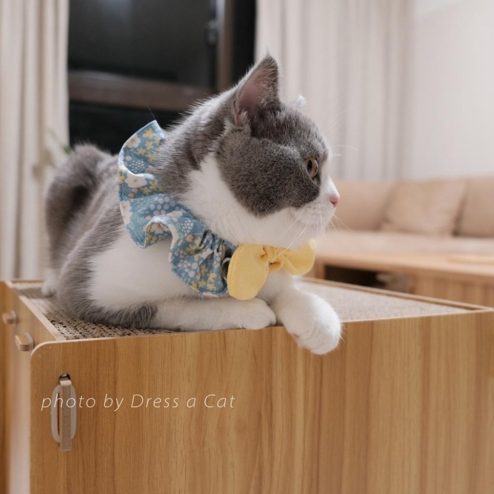 Cat Dress 貓手作 小花蒲  領巾項圈 荷葉領巾 貓 寵物 貓項圈 布項圈 手作項圈-細節圖3