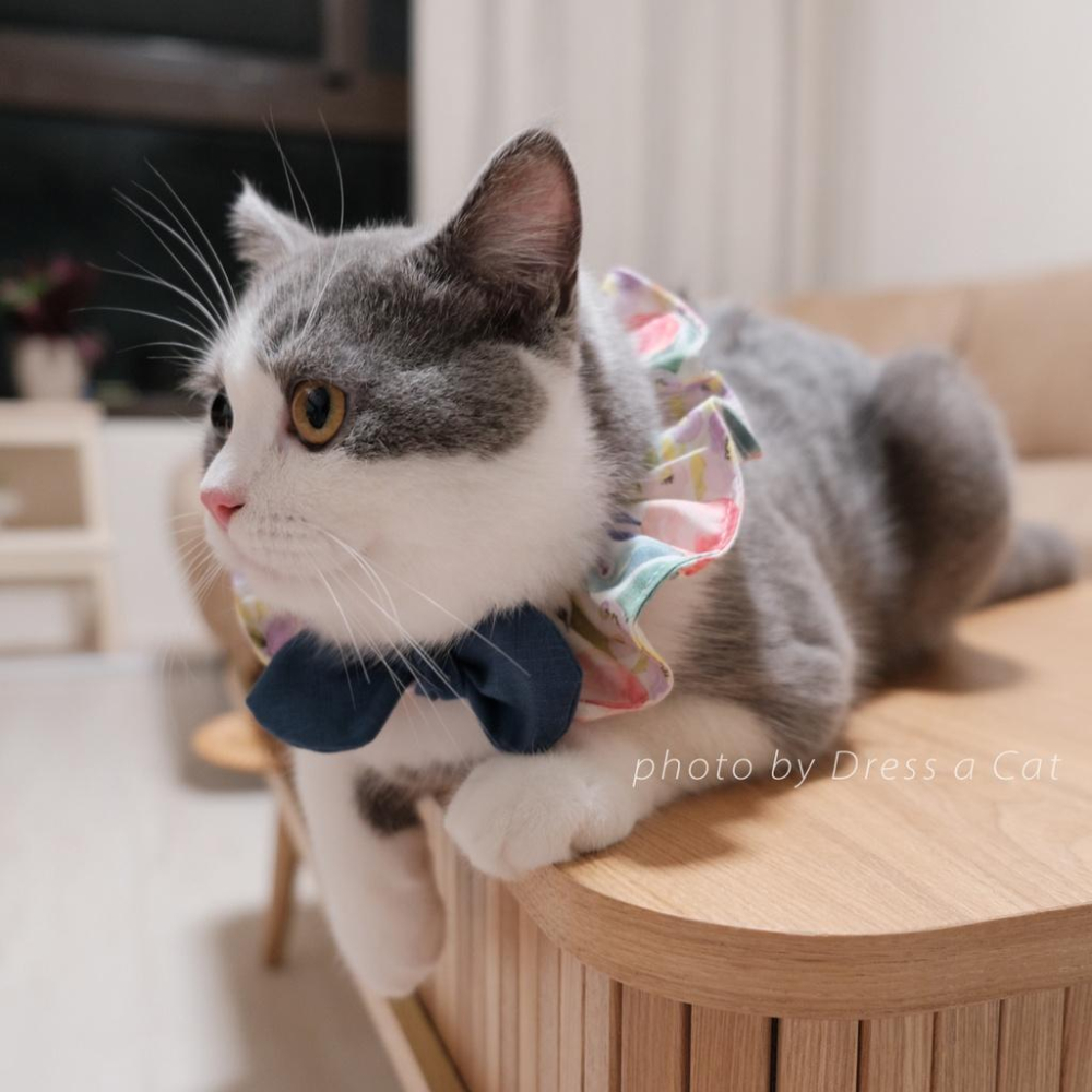 | Dress a Cat |_藍海蒔櫻  領巾項圈 荷葉領巾 貓 寵物 項圈 布項圈 手作項圈-細節圖2