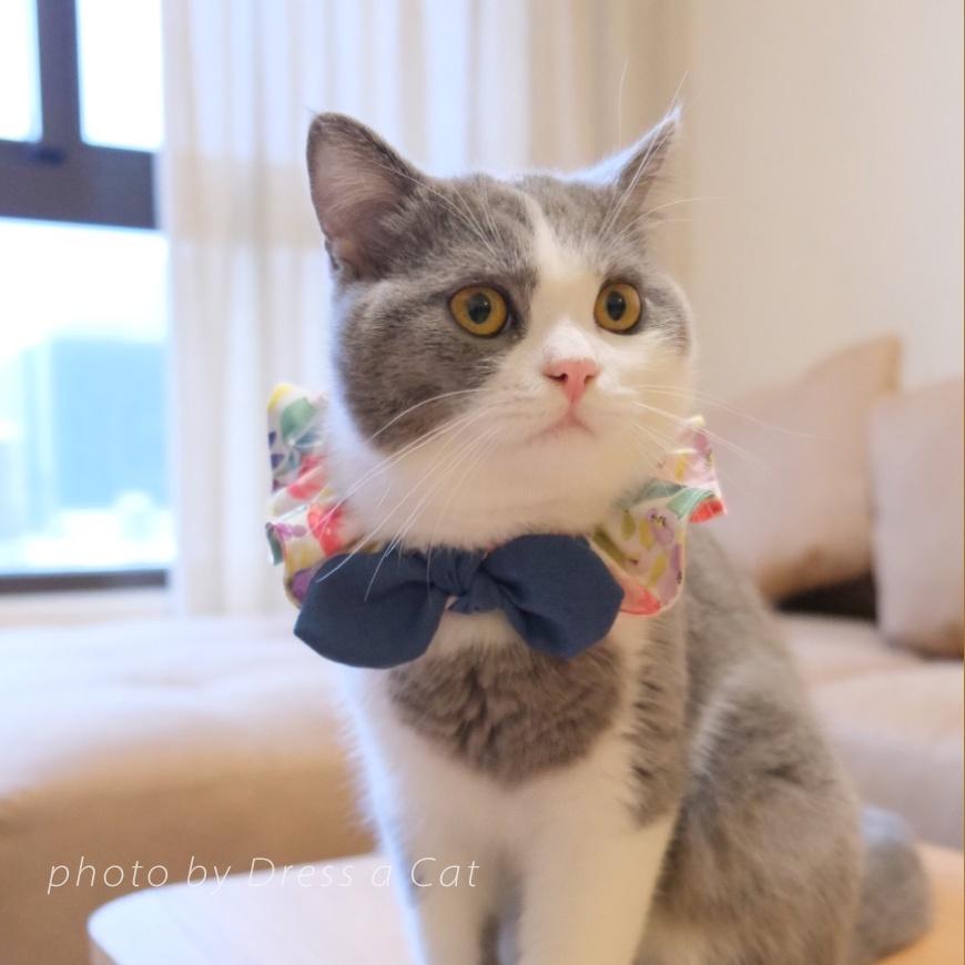 | Dress a Cat |_藍海蒔櫻  領巾項圈 荷葉領巾 貓 寵物 項圈 布項圈 手作項圈-細節圖7